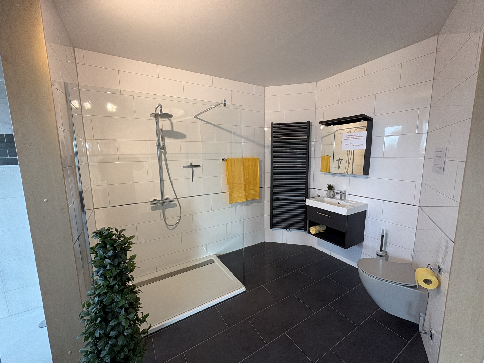 Ausstellungsbild IMG 1473